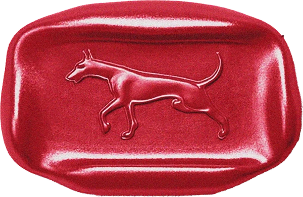 Doberman.